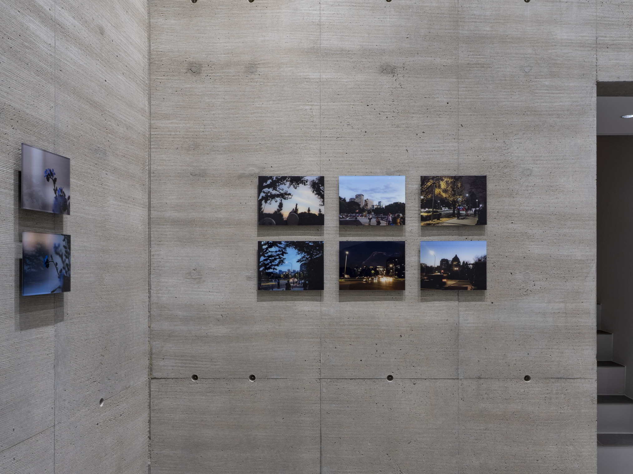 @アルボ・インヴェルサ