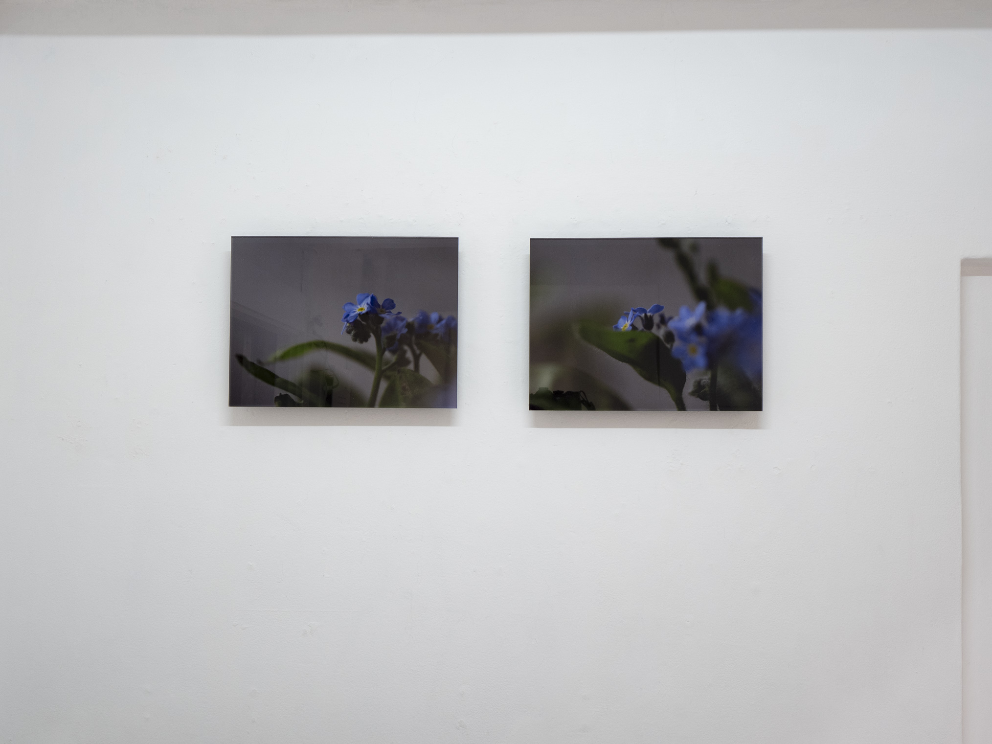 @ギャラリー ナユタ